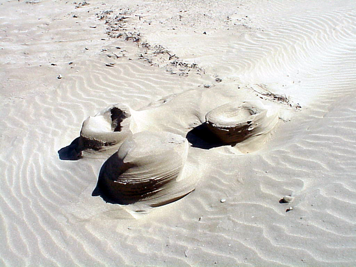 2004-08 Céline Camargue 013.JPG